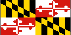 State Flag